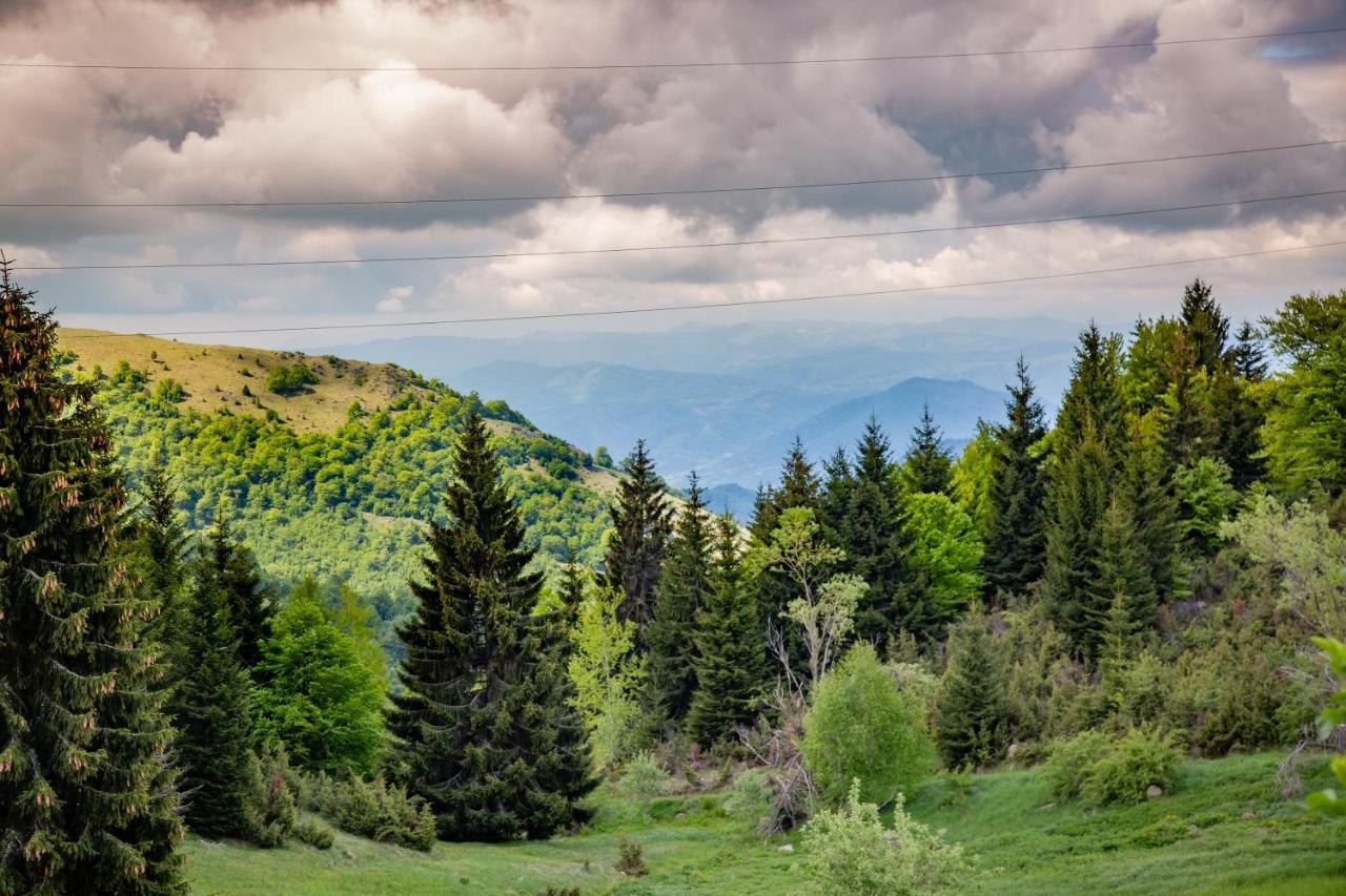 Apartments View Dvori E25 Kopaonik Luaran gambar